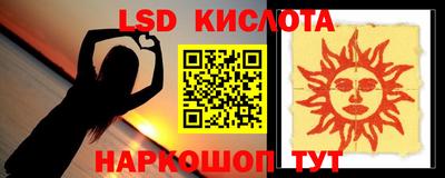 spice Кингисепп