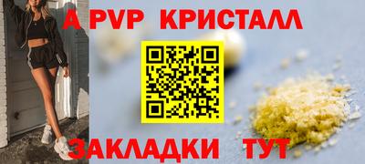 spice Кингисепп