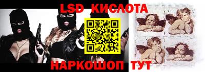 spice Кингисепп