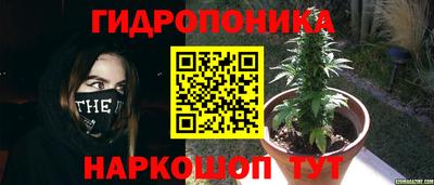 spice Кингисепп