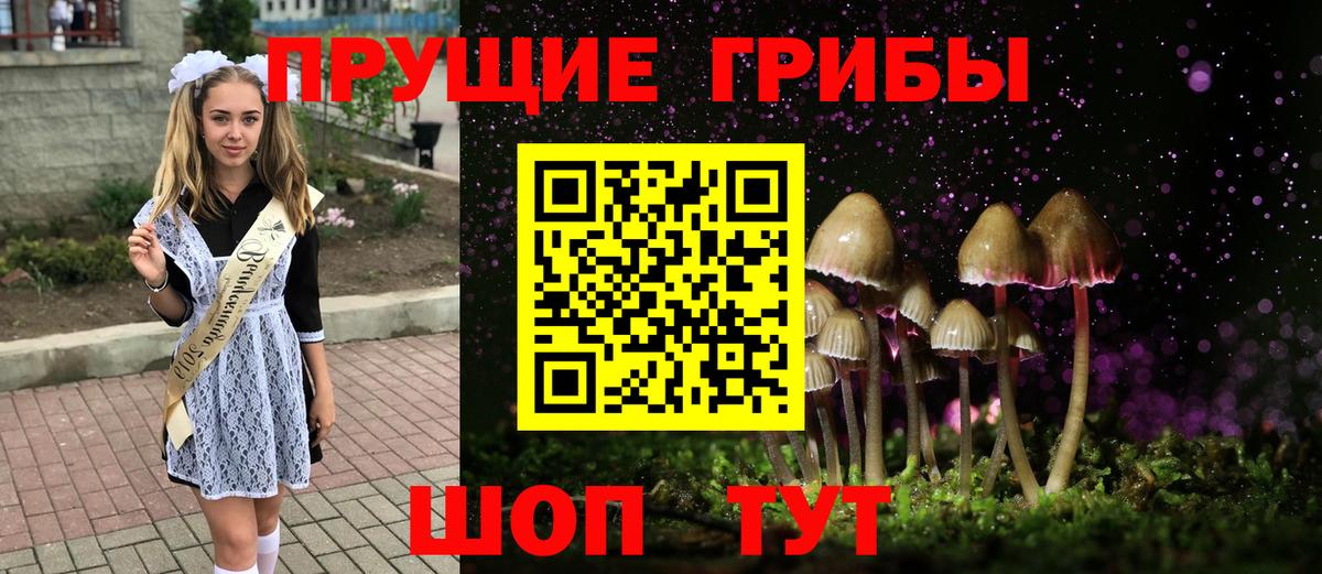 Галлюциногенные грибы Cubensis  закладка  Кстово  Псилоцибиновые грибы прущие грибы  Вход с VPN 