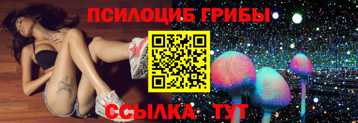 Галлюциногенные грибы мицелий Кстово